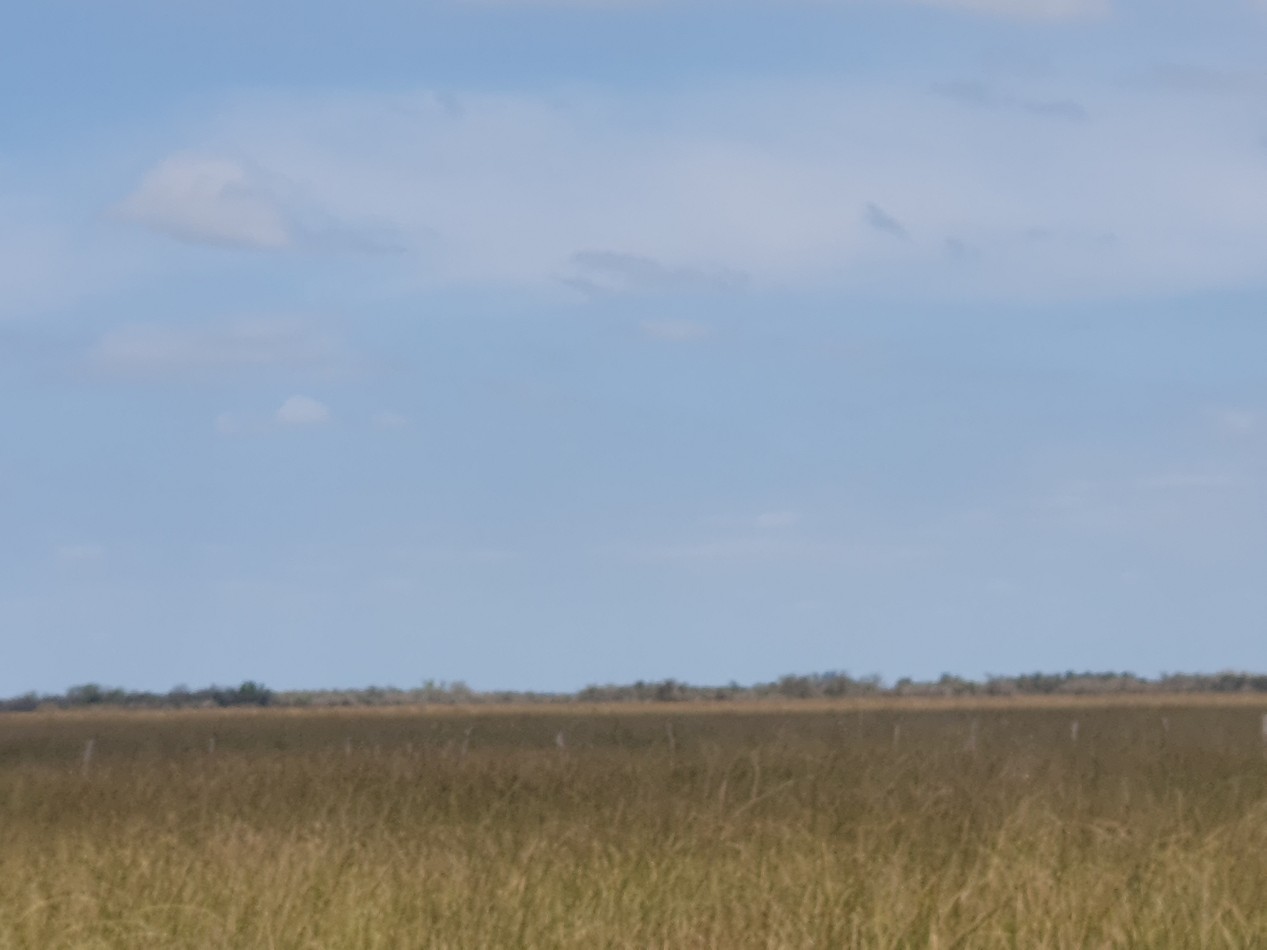 SE VENDE CAMPO GANADERO!!!