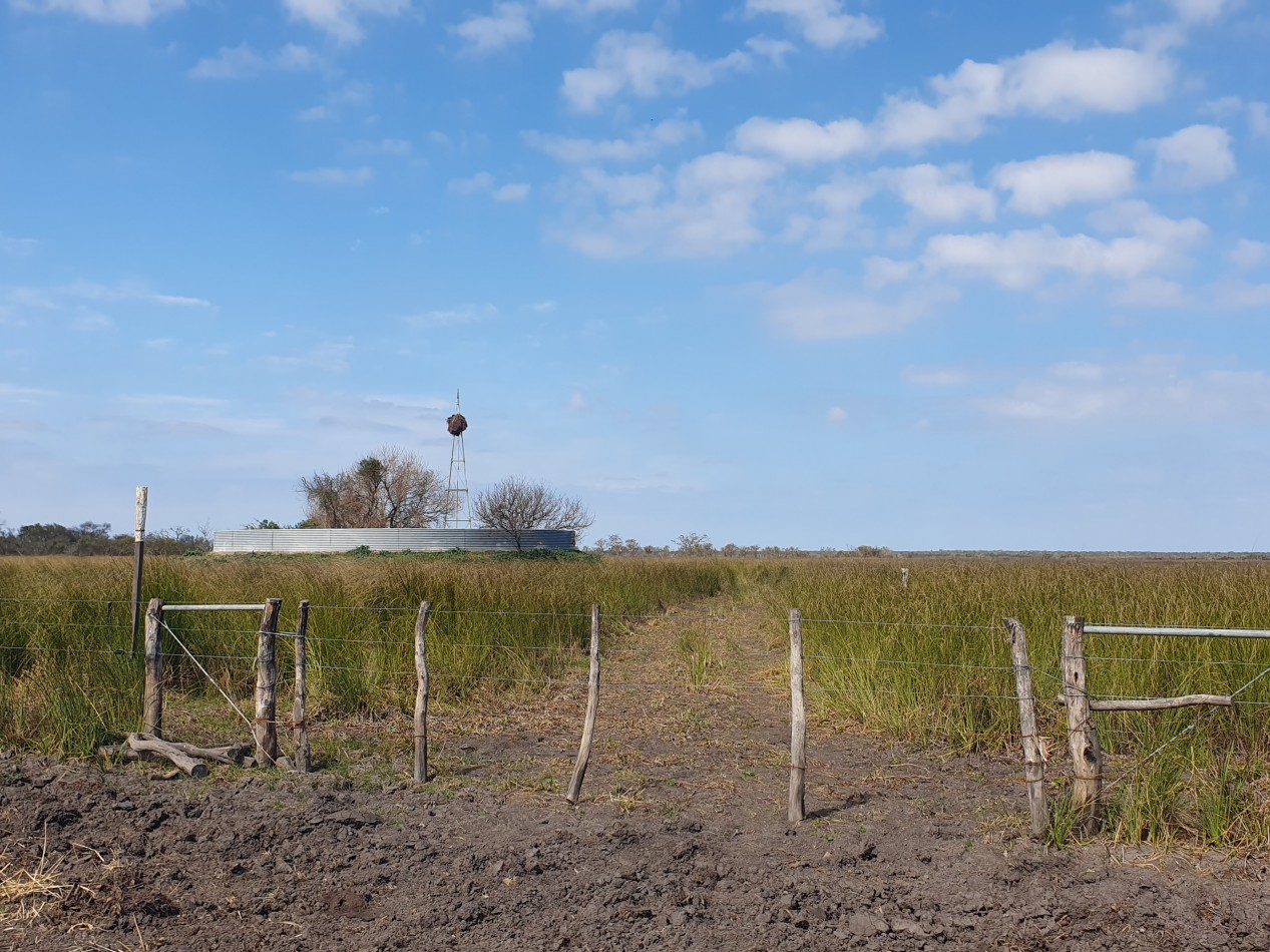 SE VENDE CAMPO GANADERO!!!