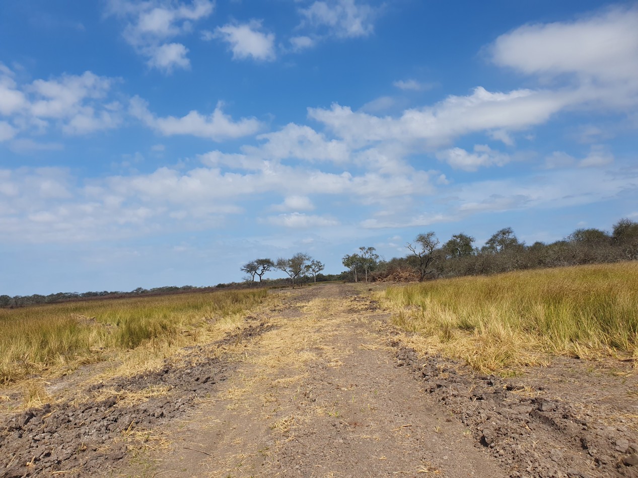 SE VENDE CAMPO GANADERO!!!