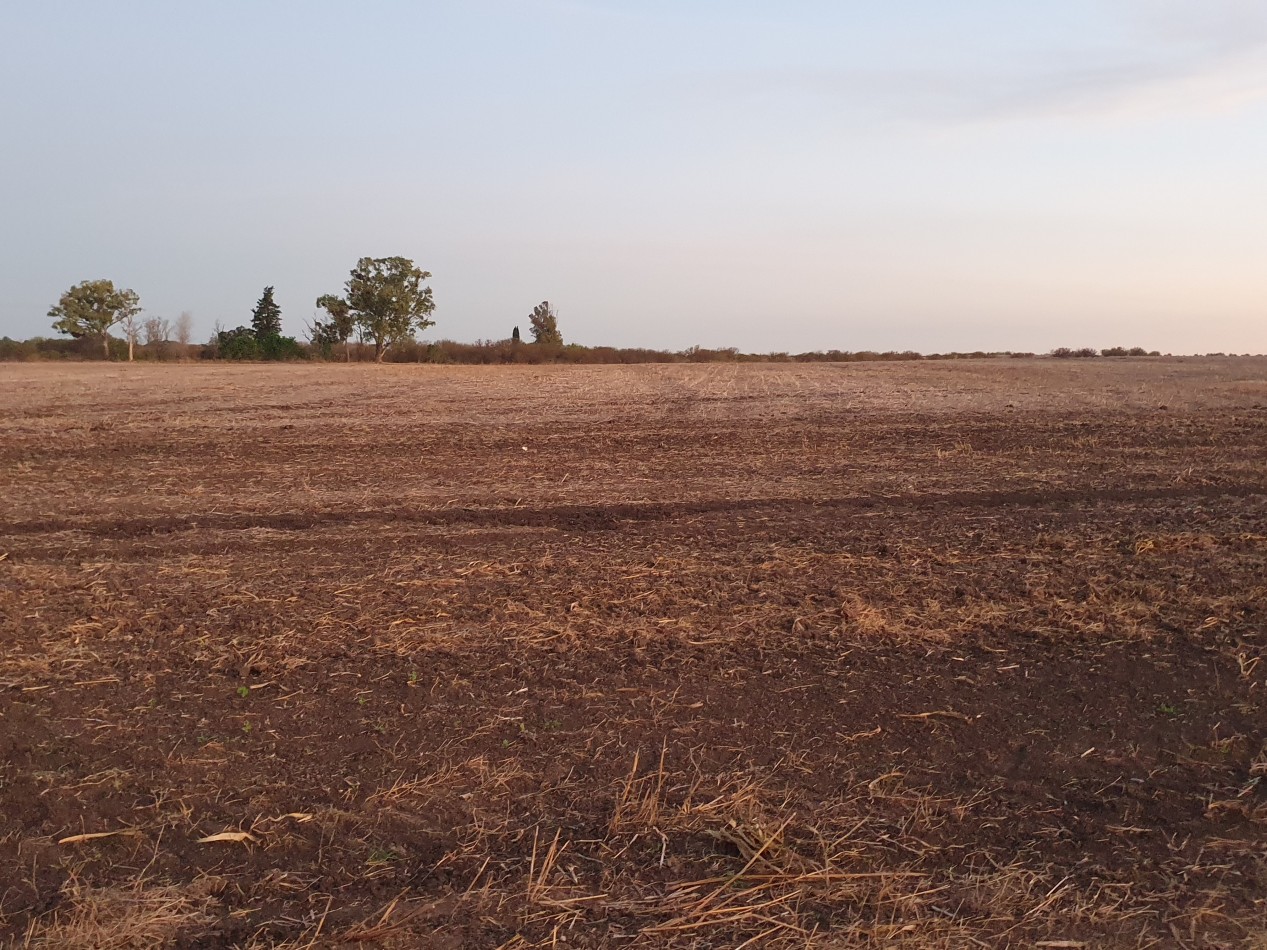 Campo a la venta en Maria Grande!!