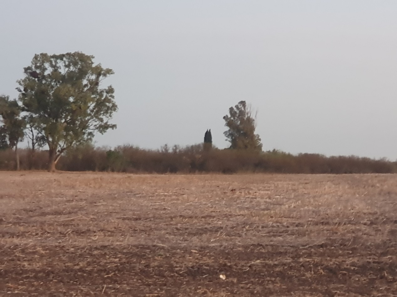 Campo a la venta en Maria Grande!!