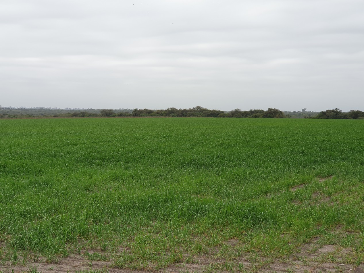 Campo en venta La Paz