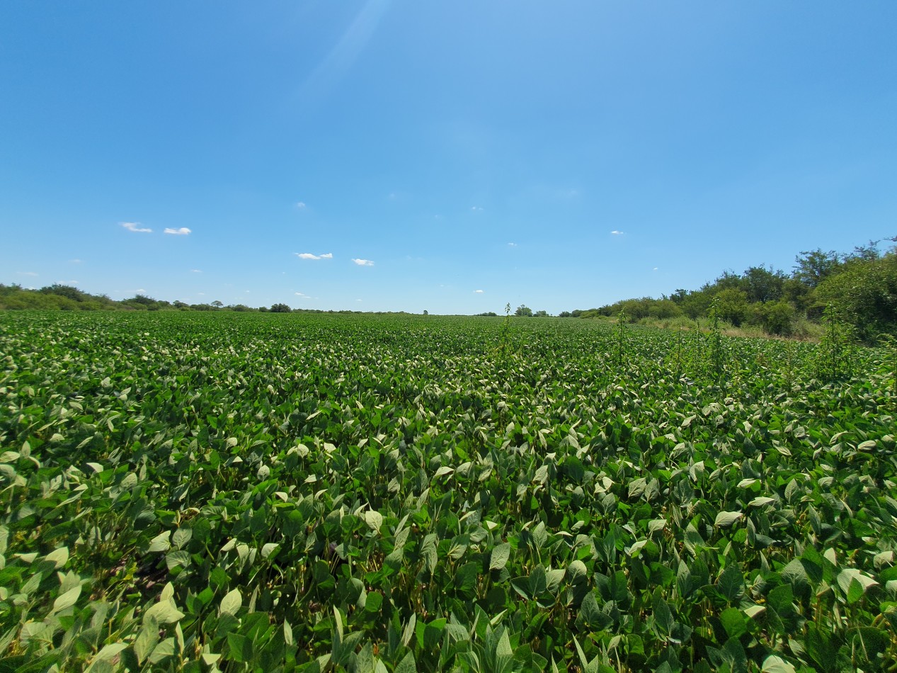 En Venta campo agricola en Nogoya!!