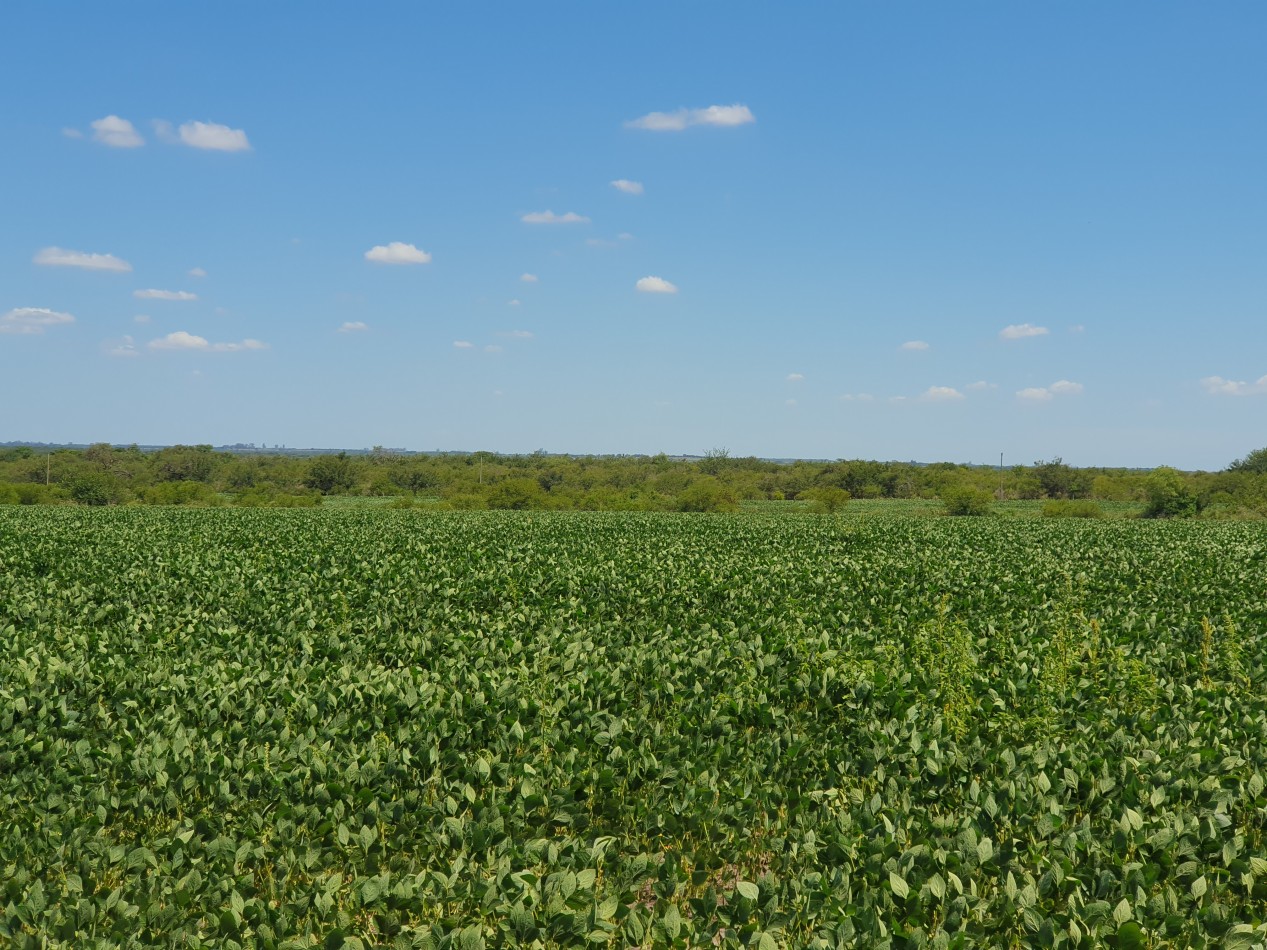 En Venta campo agricola en Nogoya!!