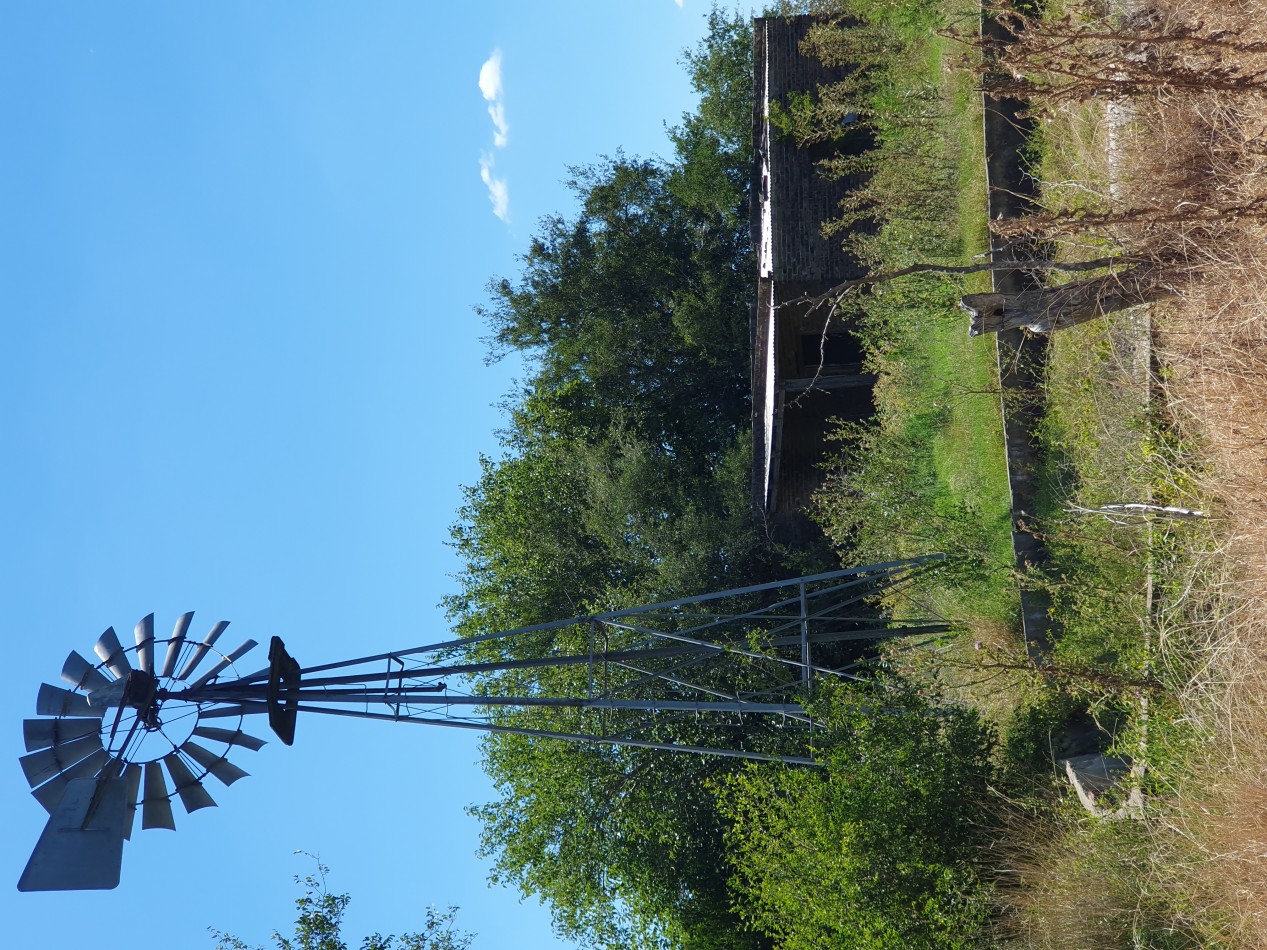 En Venta campo agricola en Nogoya!!