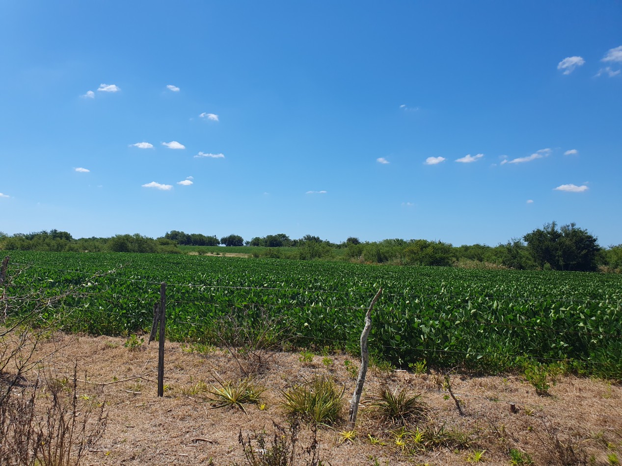 En Venta campo agricola en Nogoya!!