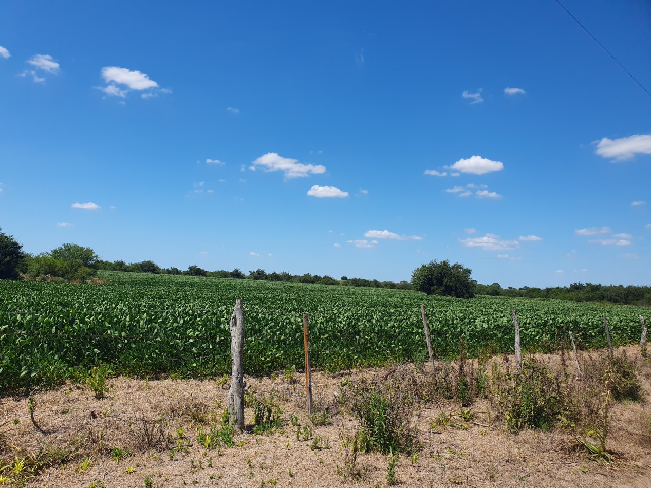 En Venta campo agricola en Nogoya!!