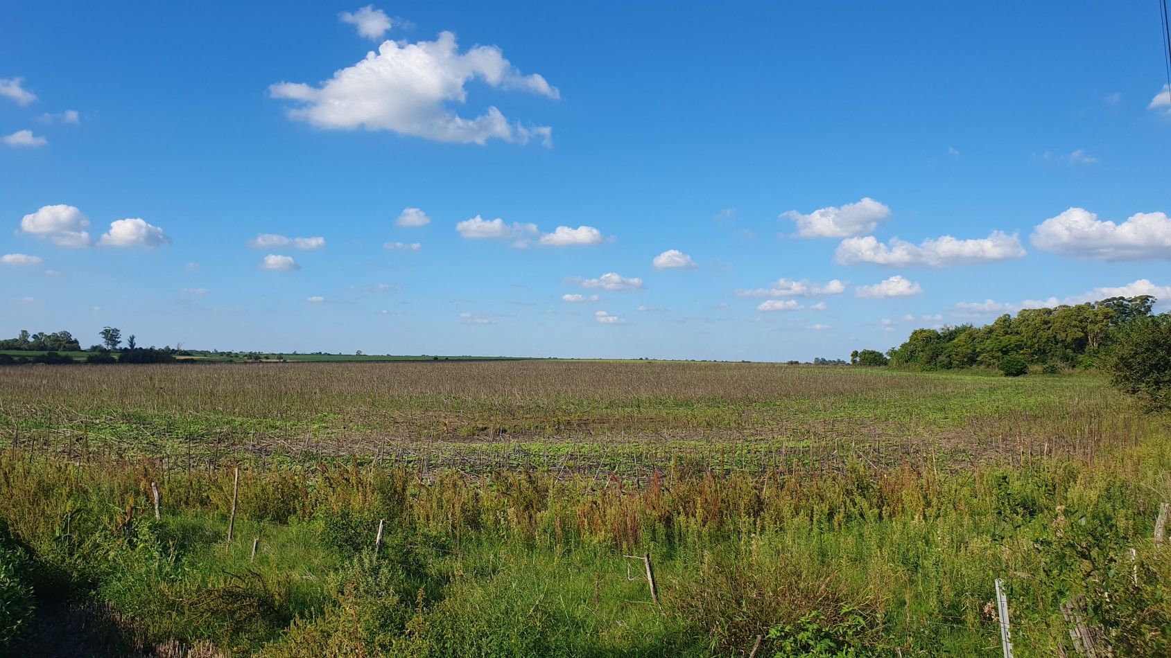 CAMPO ZONA VICTORIA EN VENTA!!