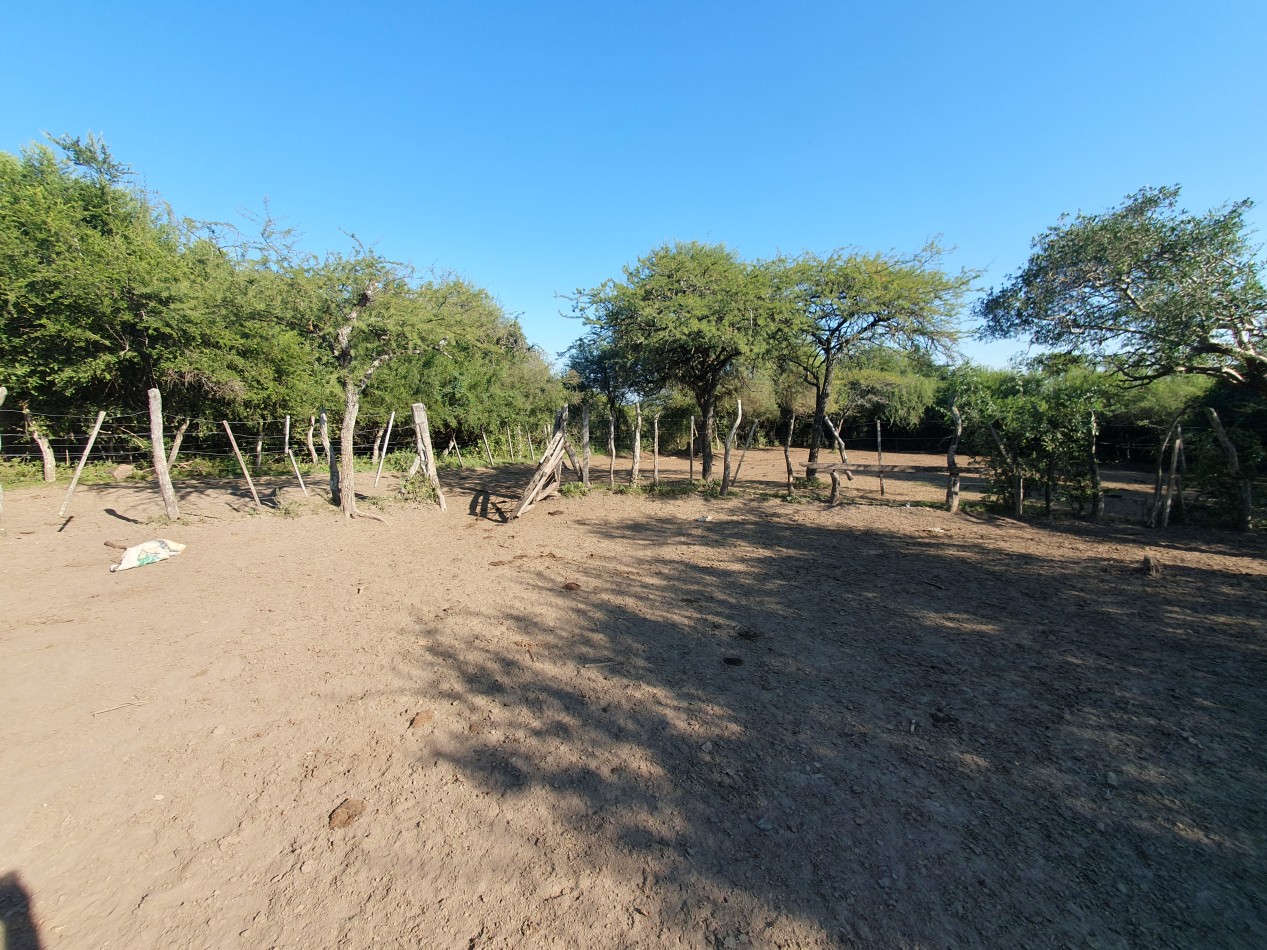 Se vende Campo Ganadero en Feliciano!!