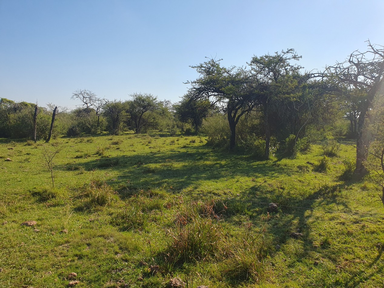 Se vende Campo Ganadero en Feliciano!!