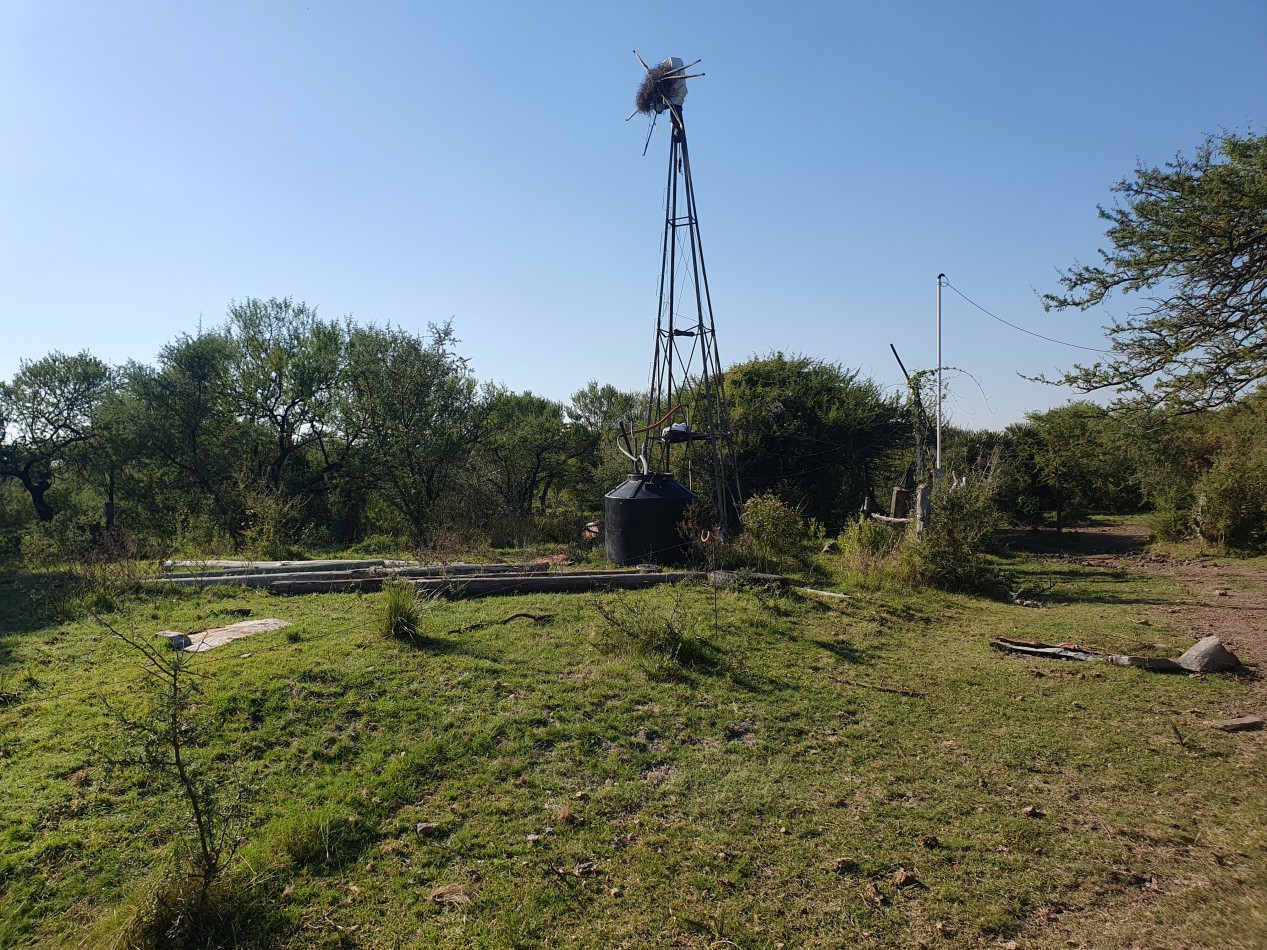 Se vende Campo Ganadero en Feliciano!!