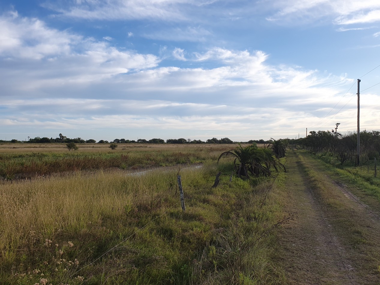 Campo mixto a la venta!!