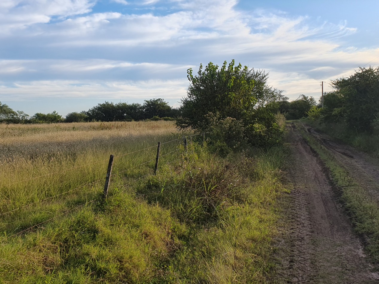 Campo mixto a la venta!!