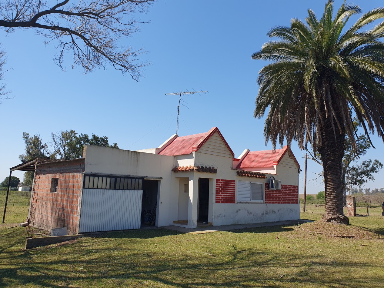 Se vende campo en Molino Doll!!
