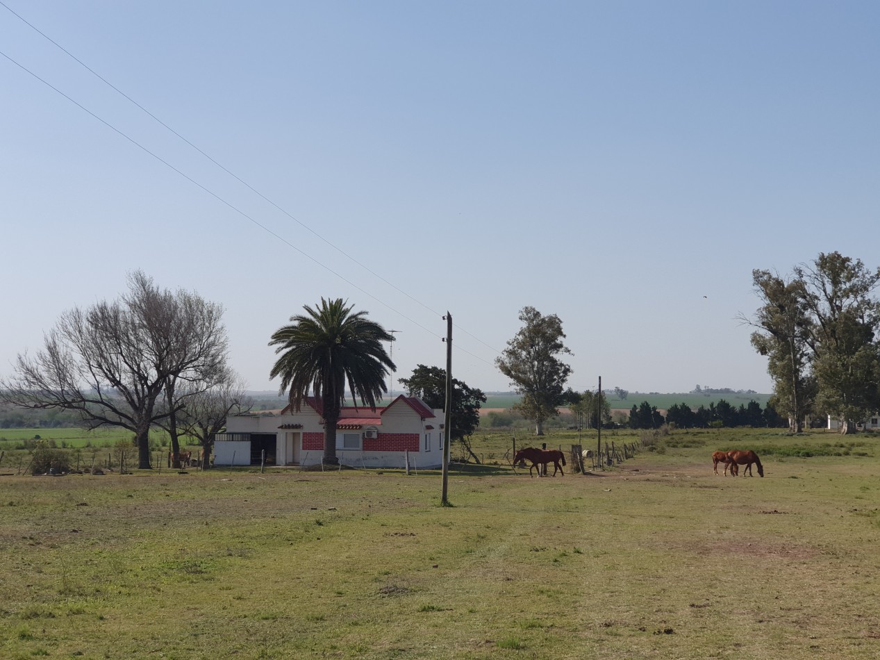 Se vende campo en Molino Doll!!