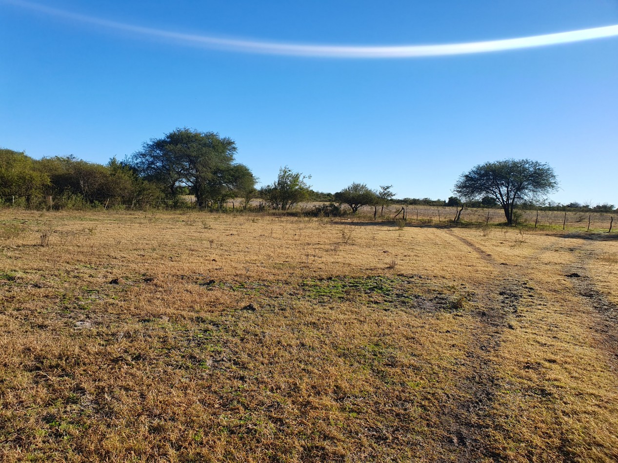 SE VENDE CAMPO MIXTO -DE 43HAS-  SOBRE RUTA  