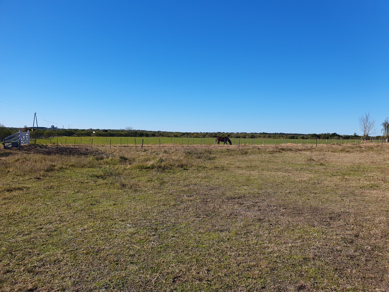 SE VENDE CAMPO MIXTO -DE 43HAS-  SOBRE RUTA  