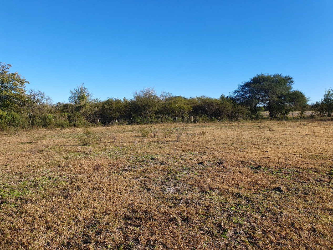 SE VENDE CAMPO MIXTO - 123 HECTAREAS - NOGOYA
