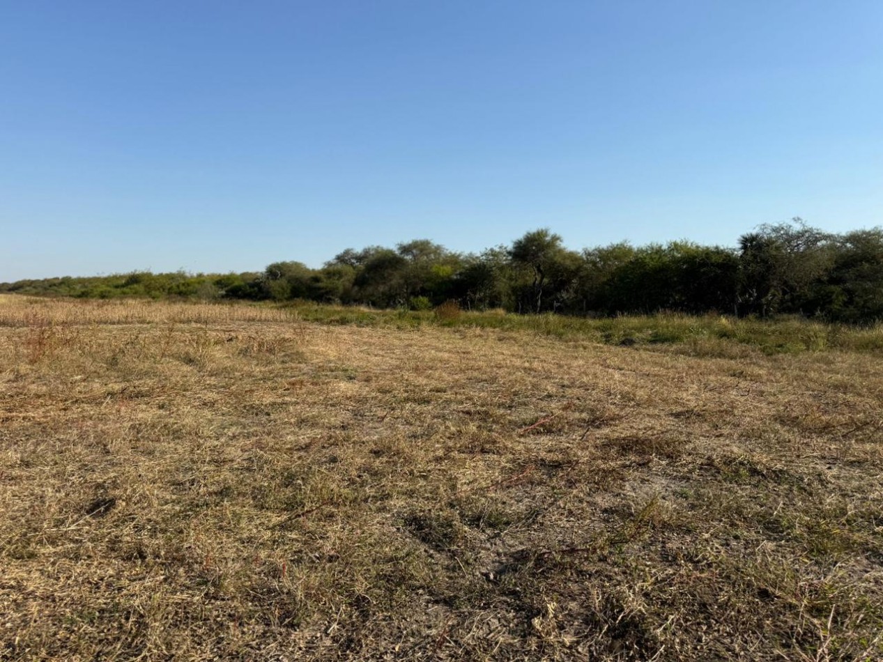 SE VENDE CAMPO MIXTO - 123 HECTAREAS - NOGOYA