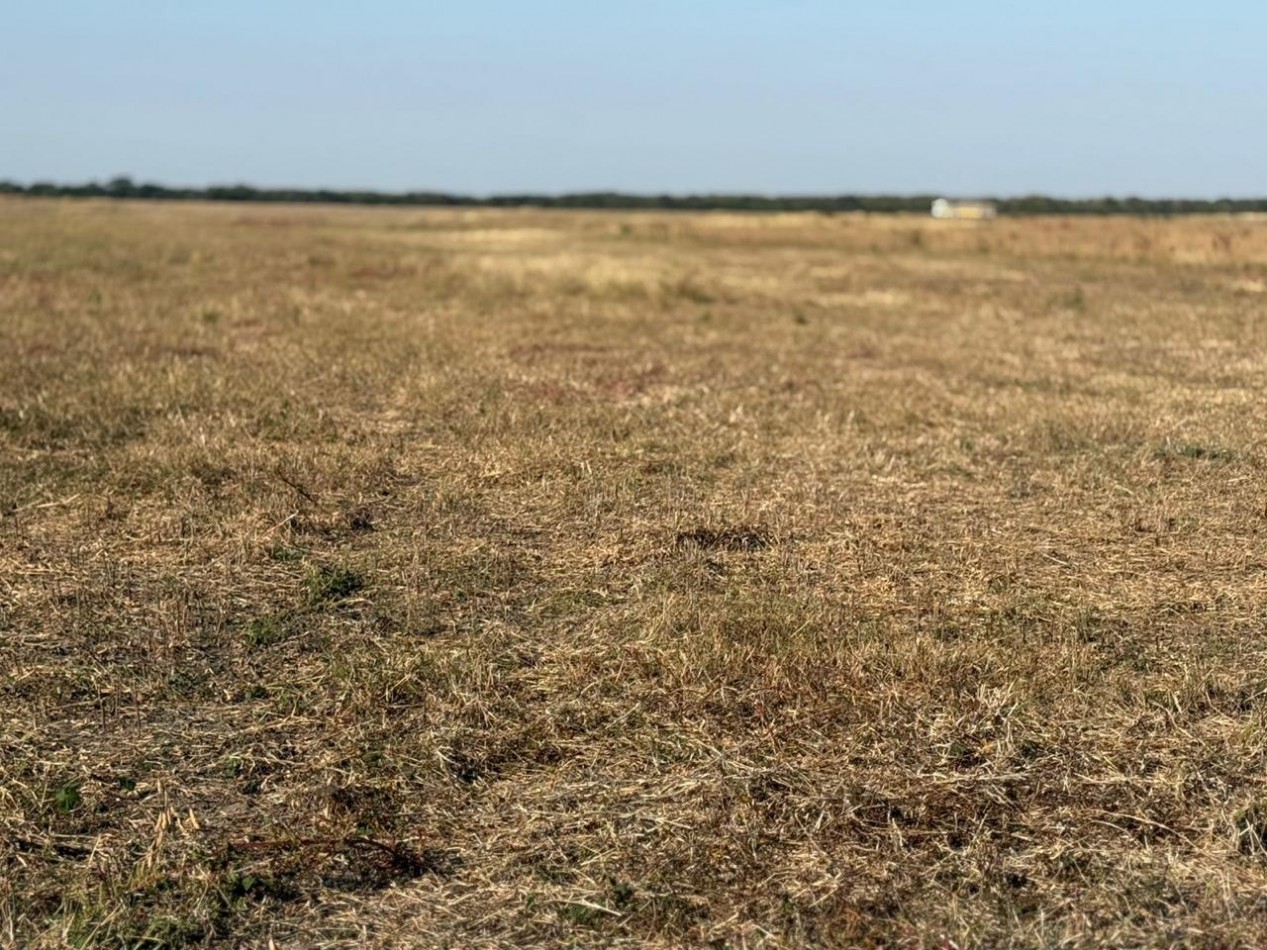 SE VENDE CAMPO MIXTO - 123 HECTAREAS - NOGOYA