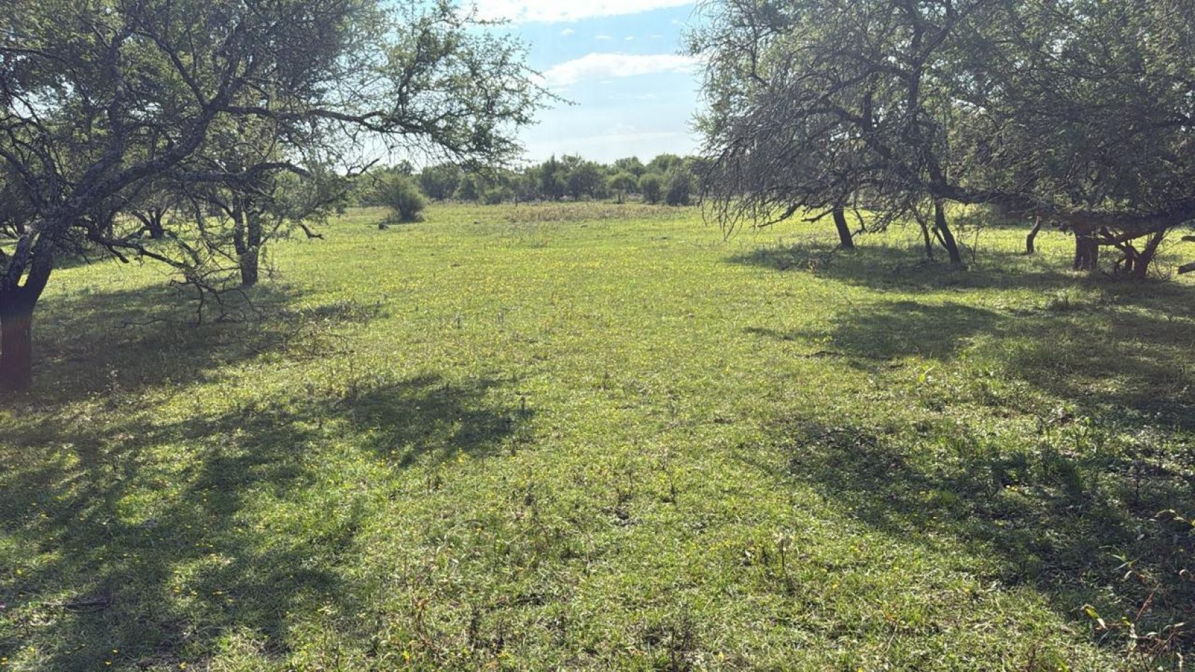 SE VENDE CAMPO MIXTO - 123 HECTAREAS - NOGOYA