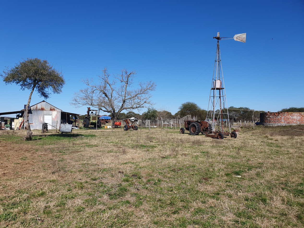 Campo Mixto