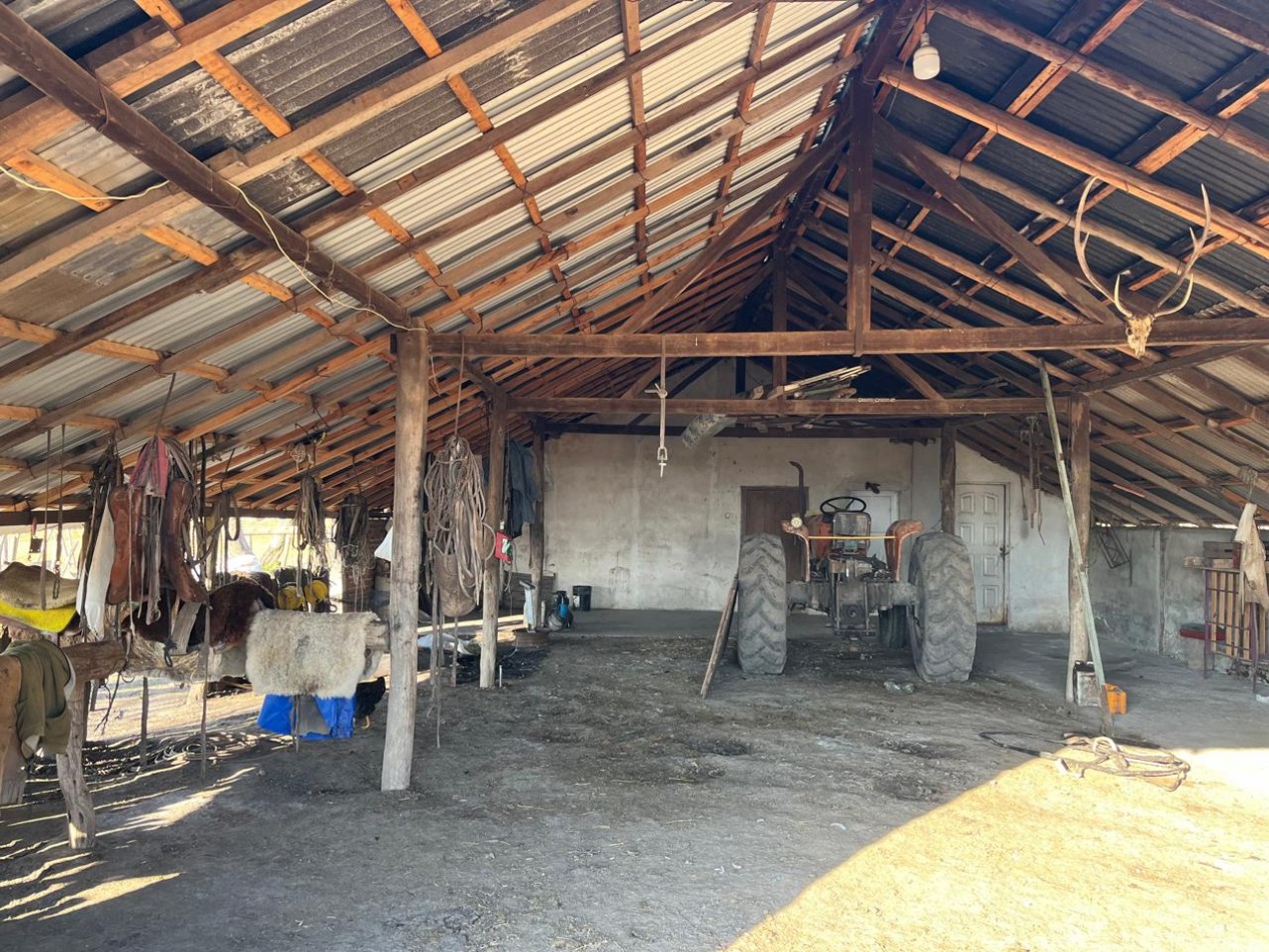 Campo Mixto Feliciano