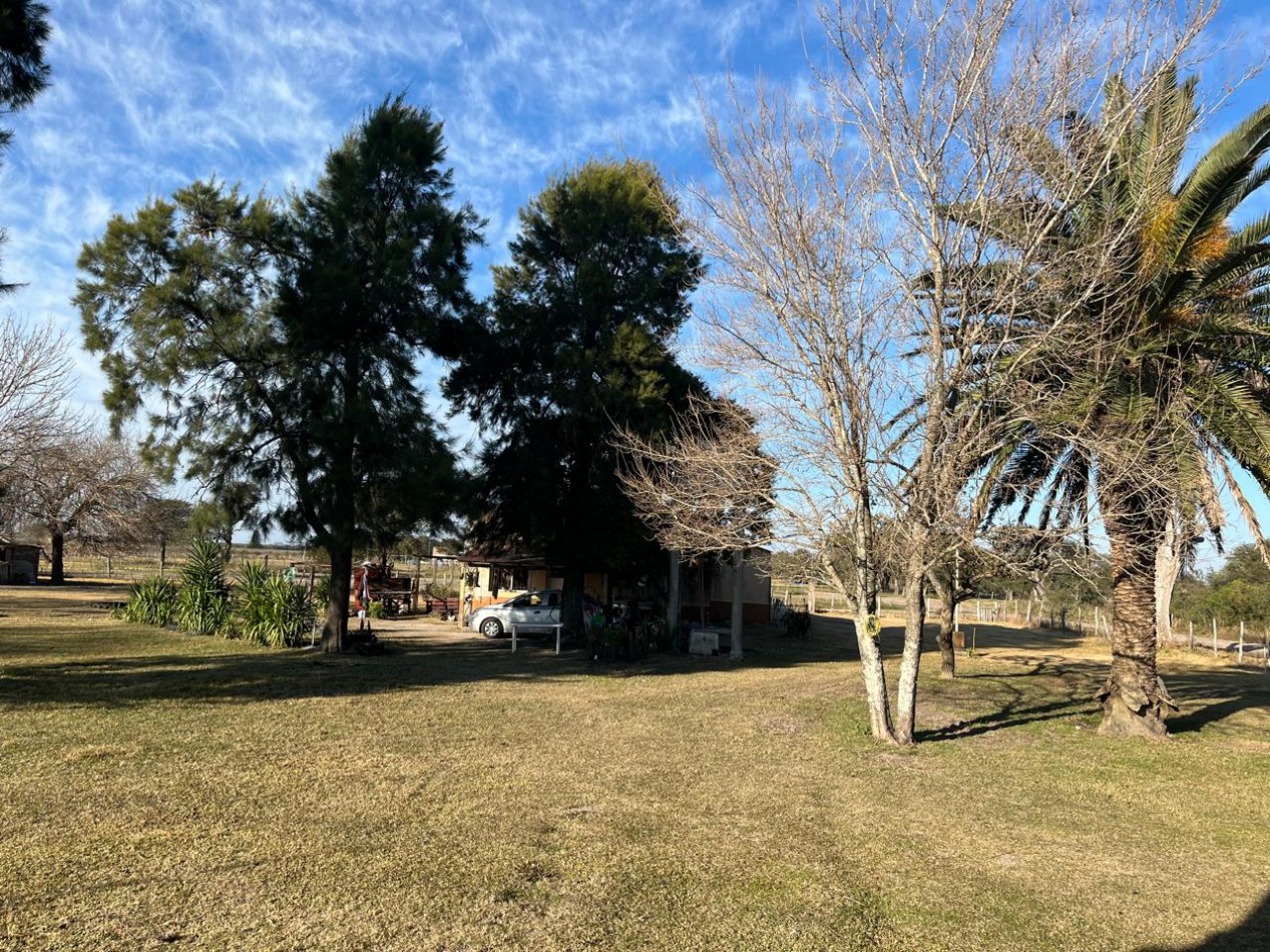 Campo Mixto Feliciano
