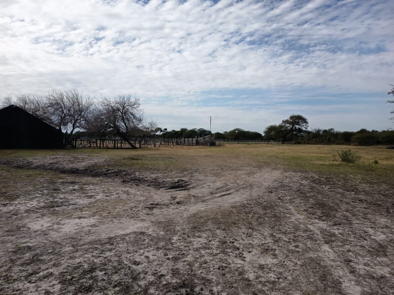 Campo Mixto Feliciano