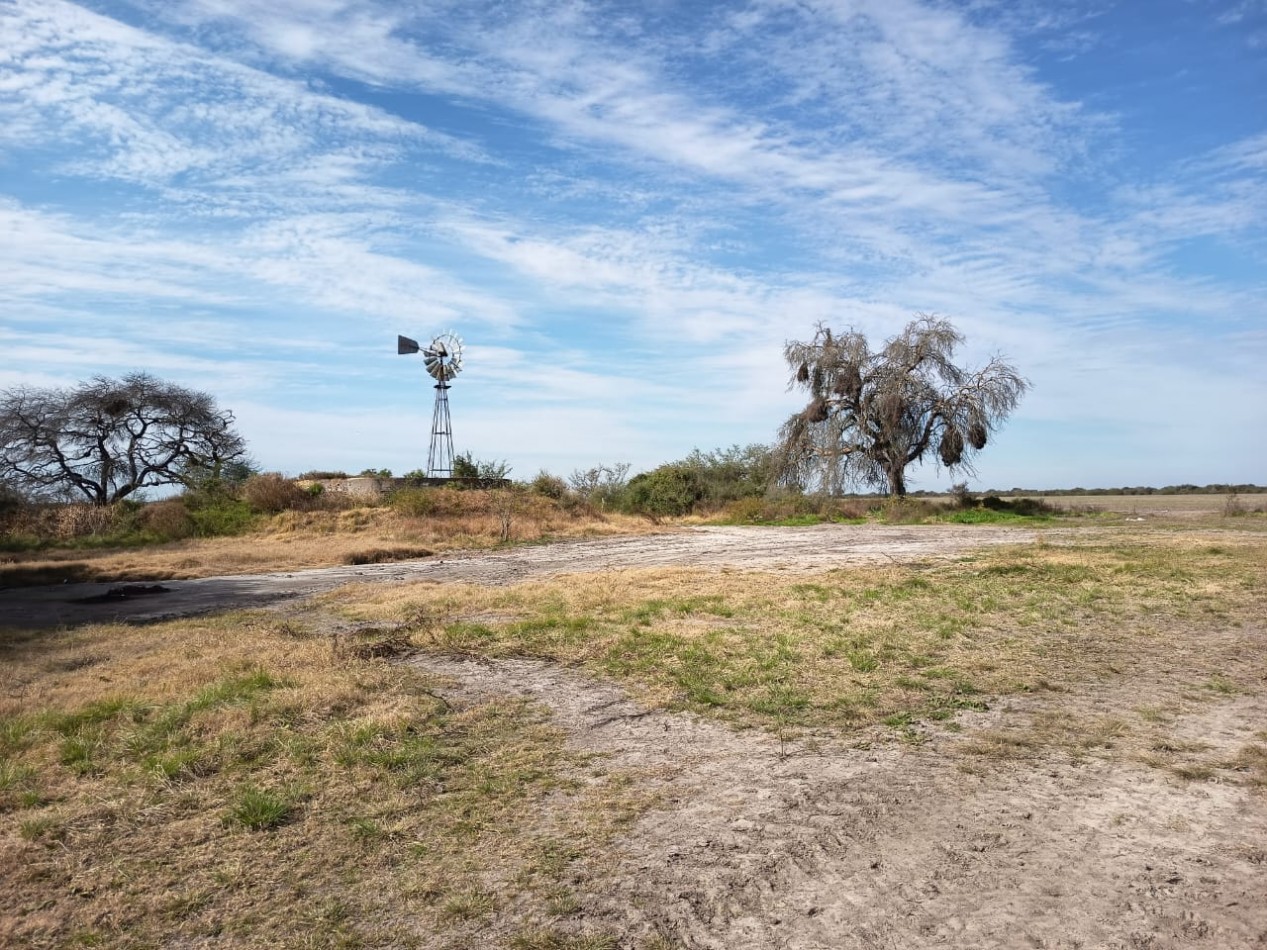 Campo Mixto Feliciano