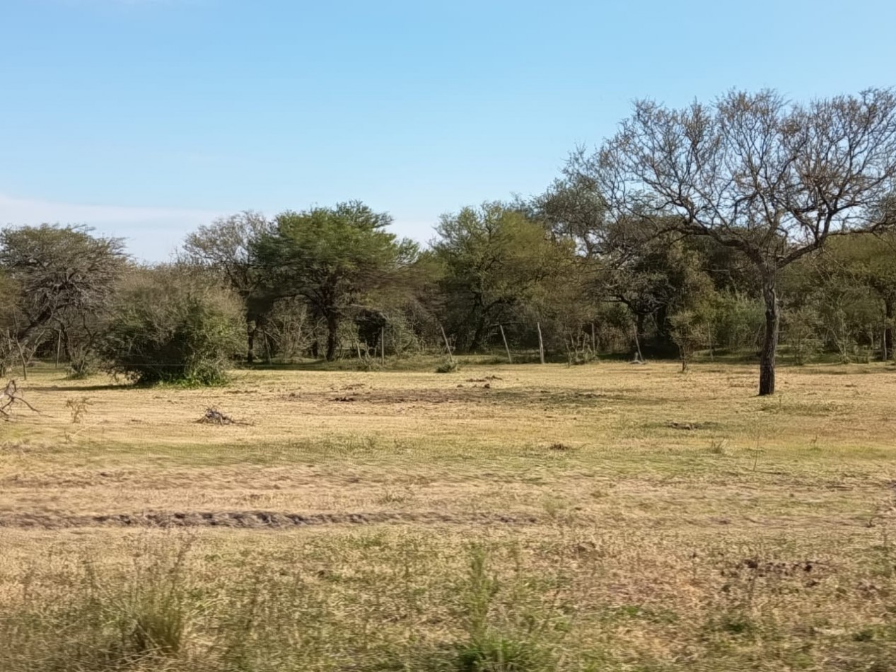 Campo Mixto Feliciano