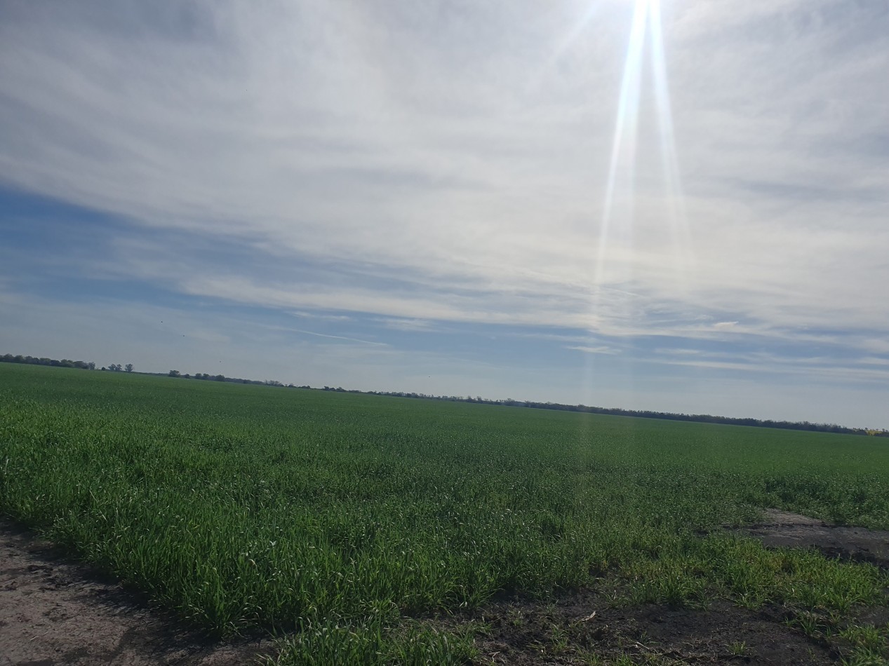 Campo mixto en venta!!