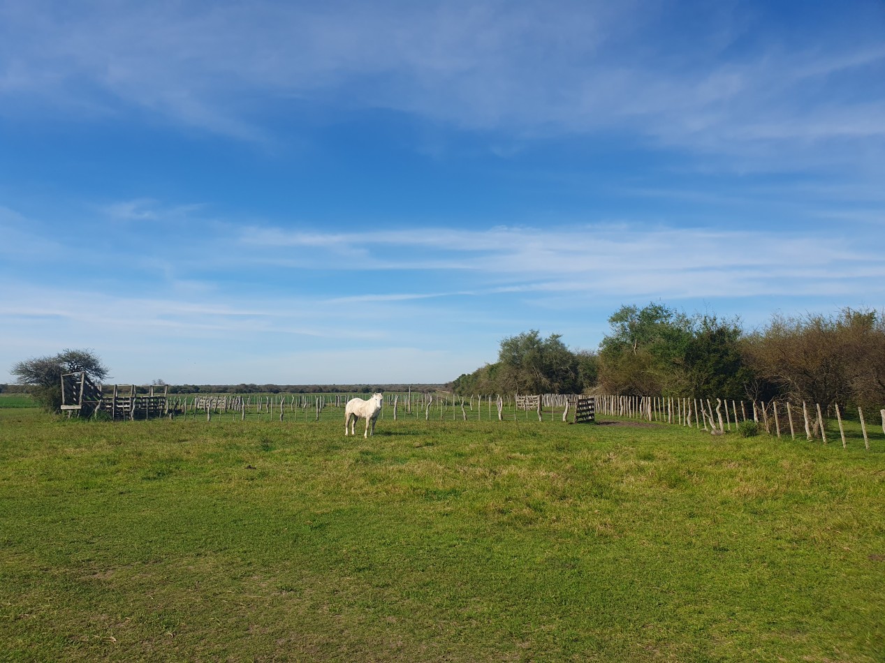 Campo mixto en venta!!