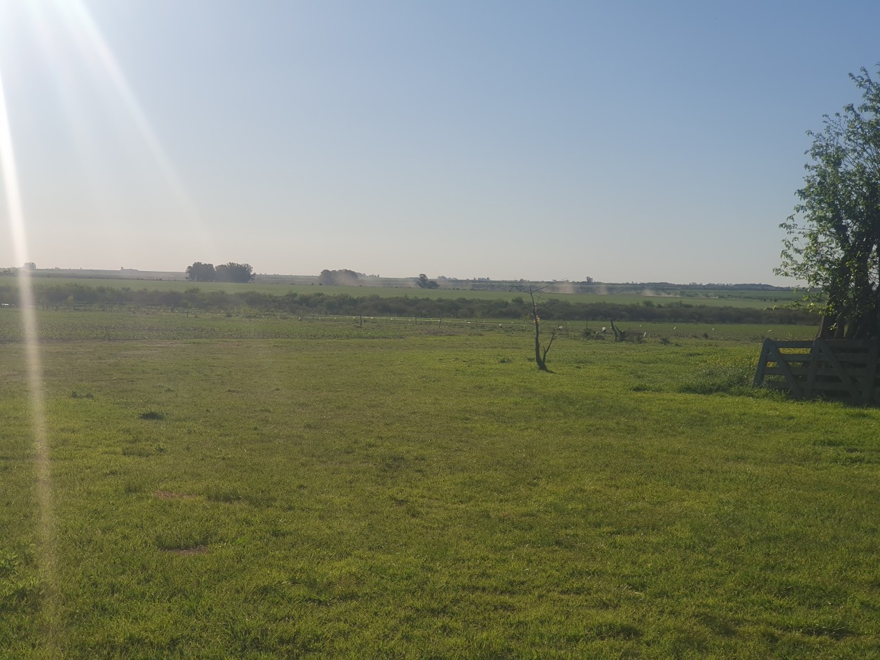 En Vente Campo Agricola de 113has!!!