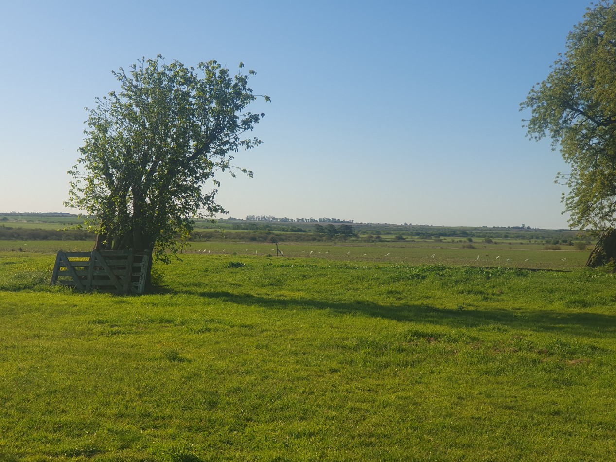 En Vente Campo Agricola de 113has!!!