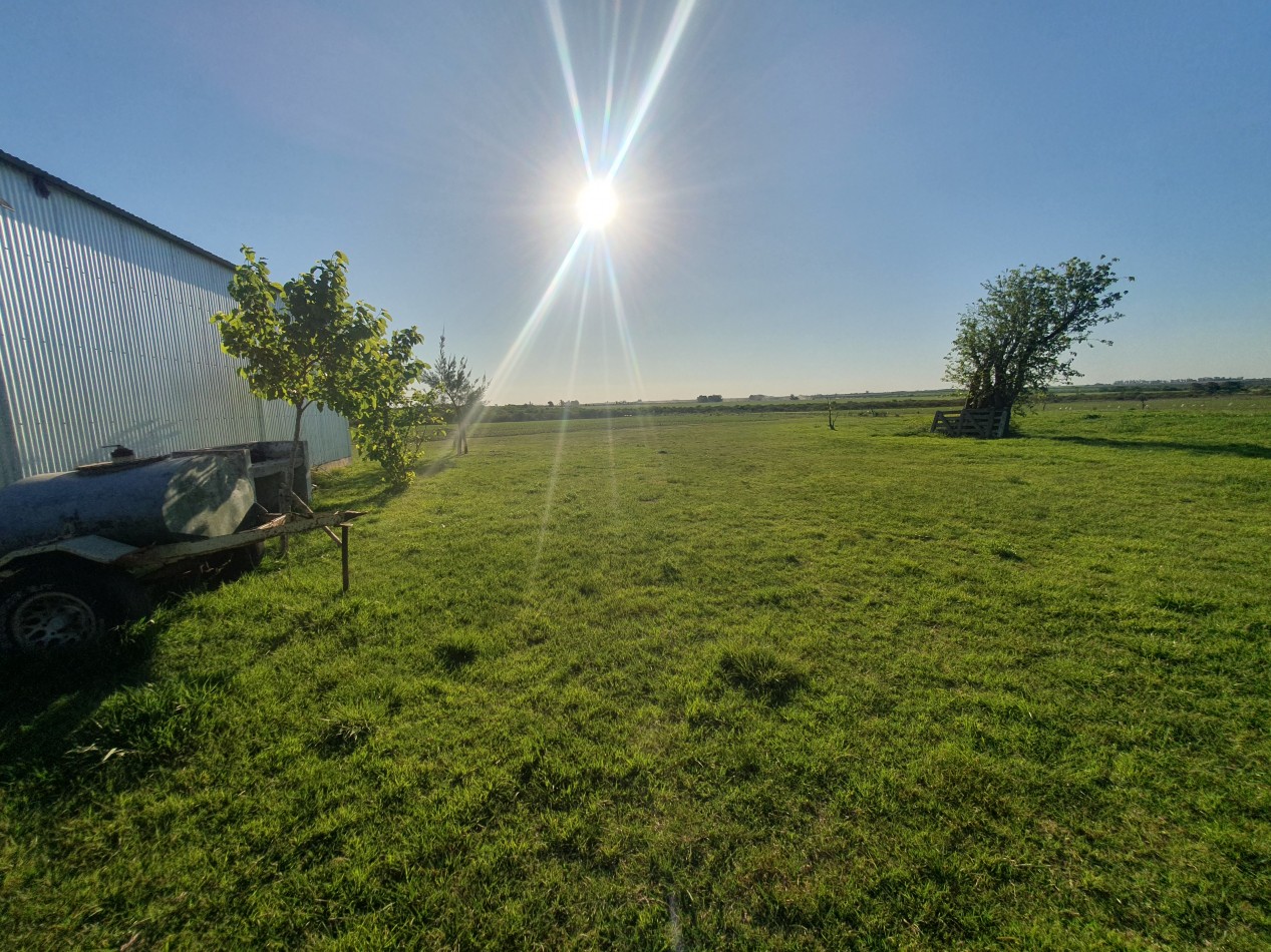 En Vente Campo Agricola de 113has!!!