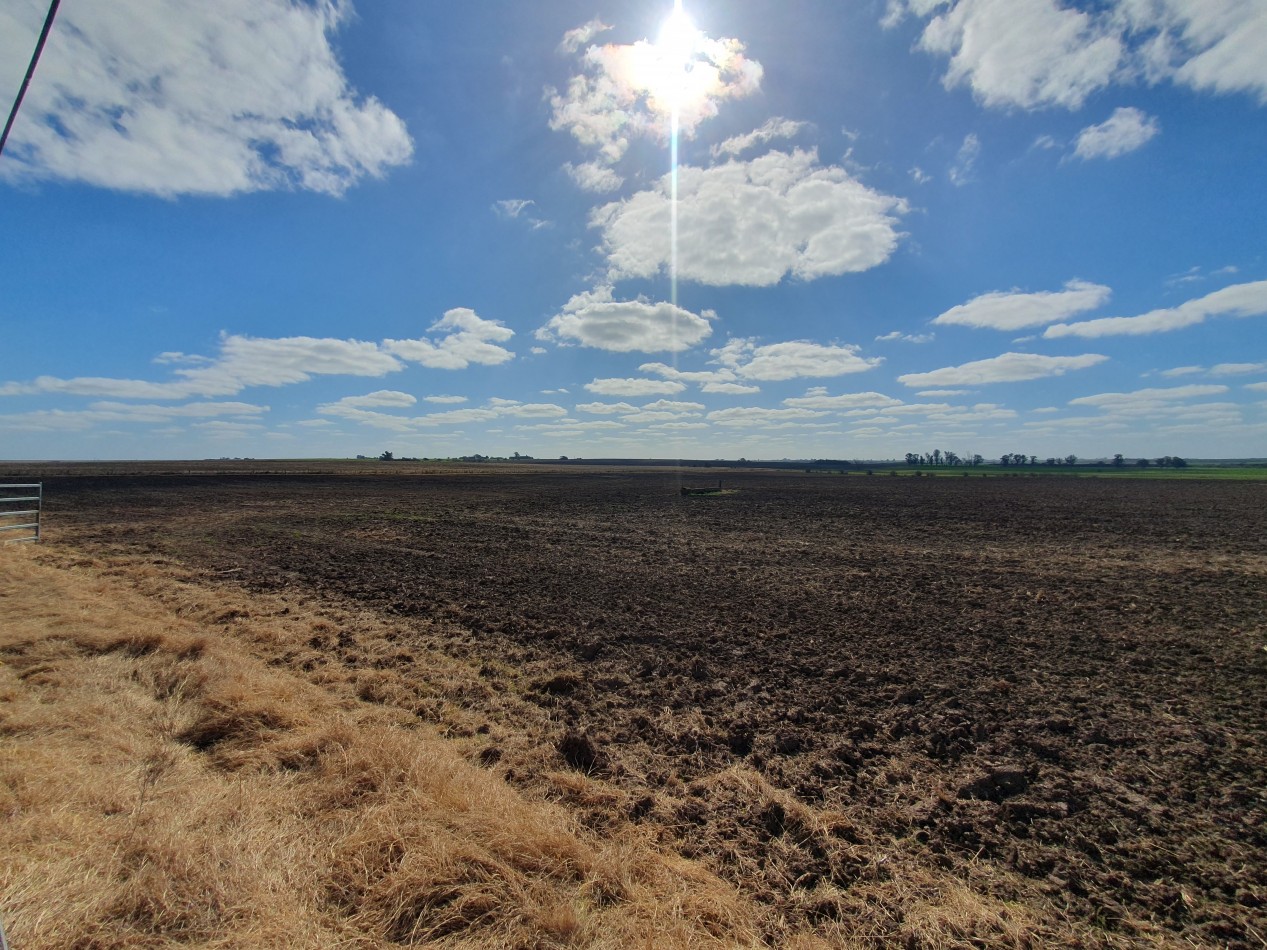 Campo agricola en Victoria!!