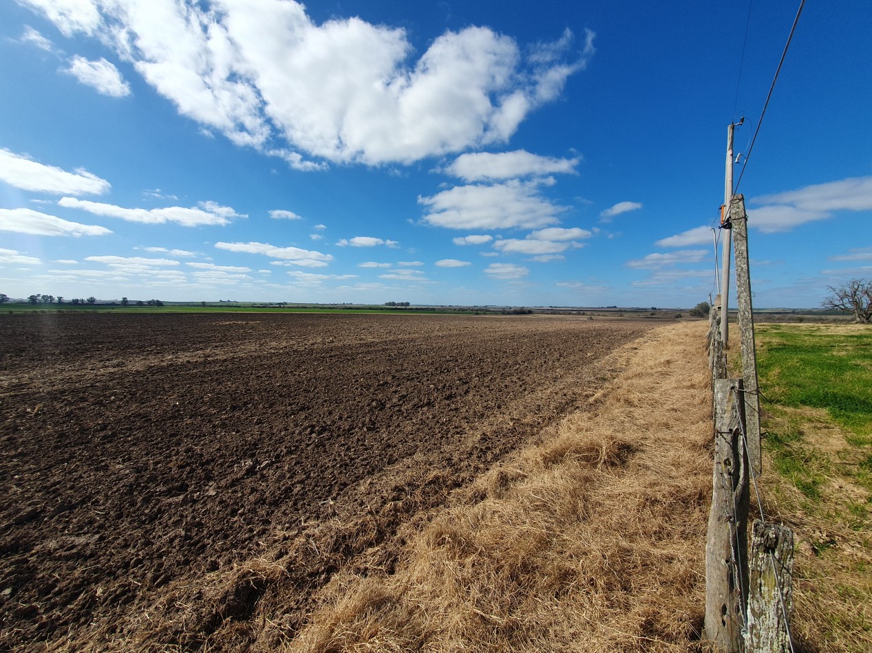 Campo agricola en Victoria!!