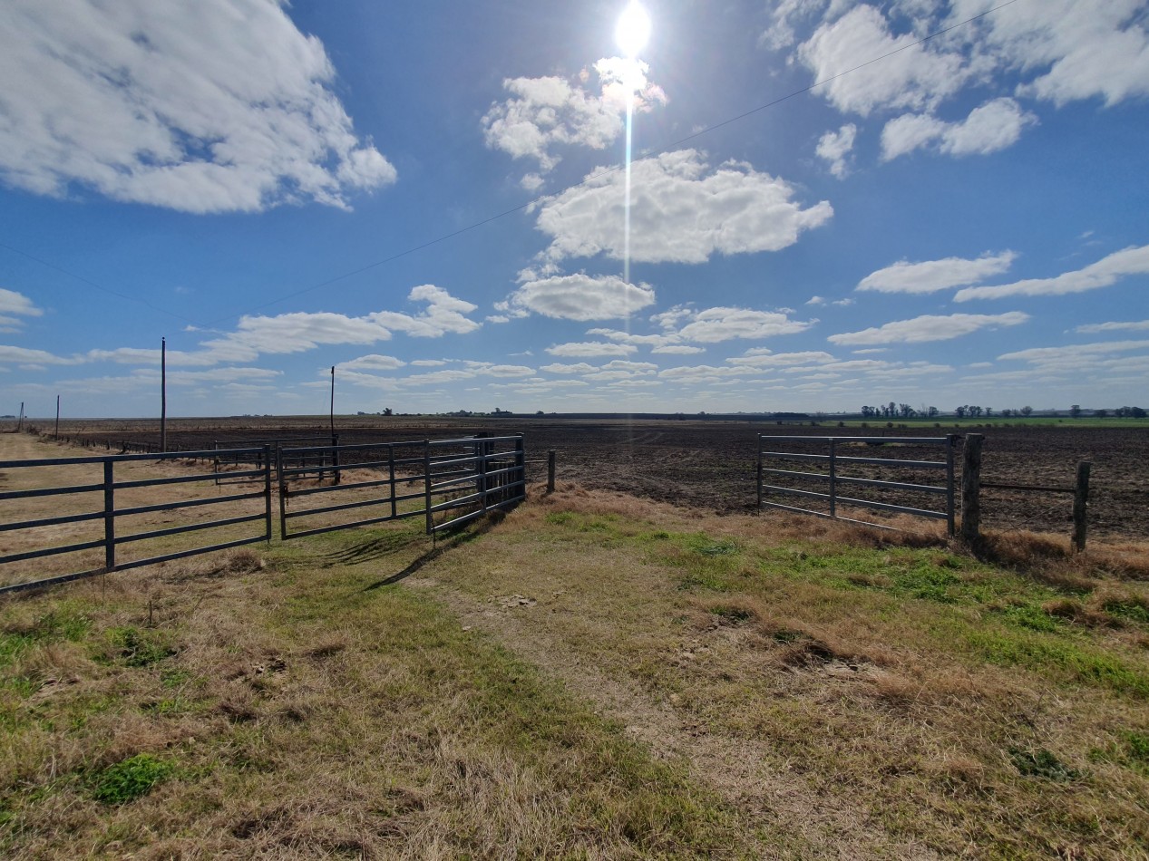 Campo agricola en Victoria!!