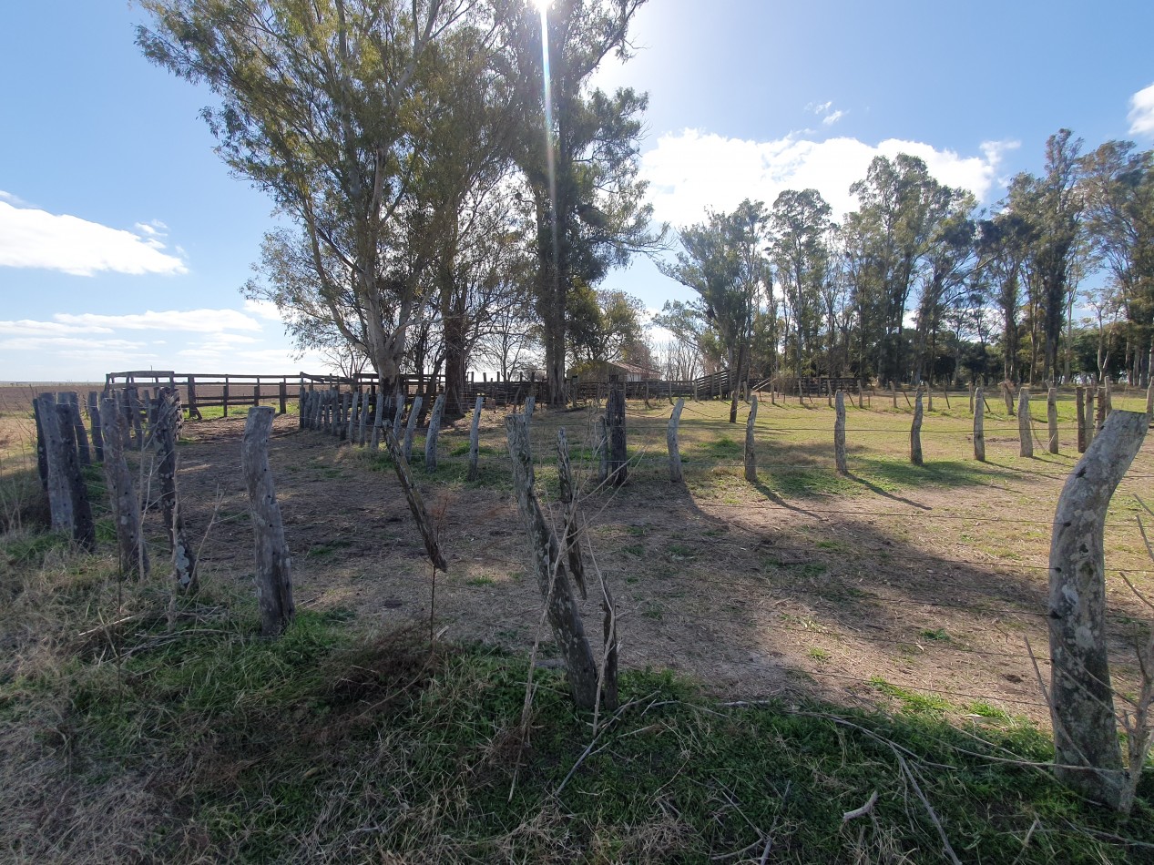 Campo agricola en Victoria!!
