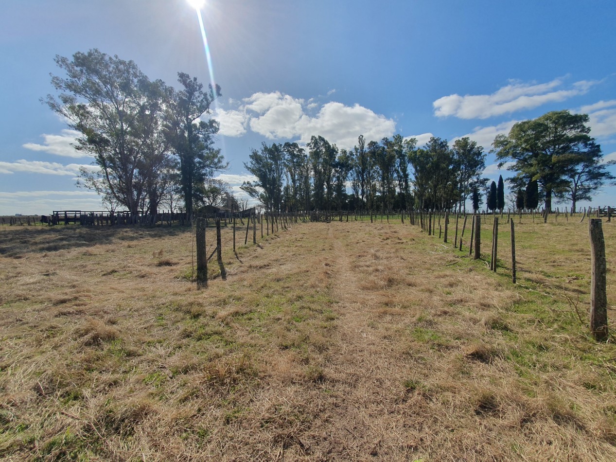 Campo agricola en Victoria!!