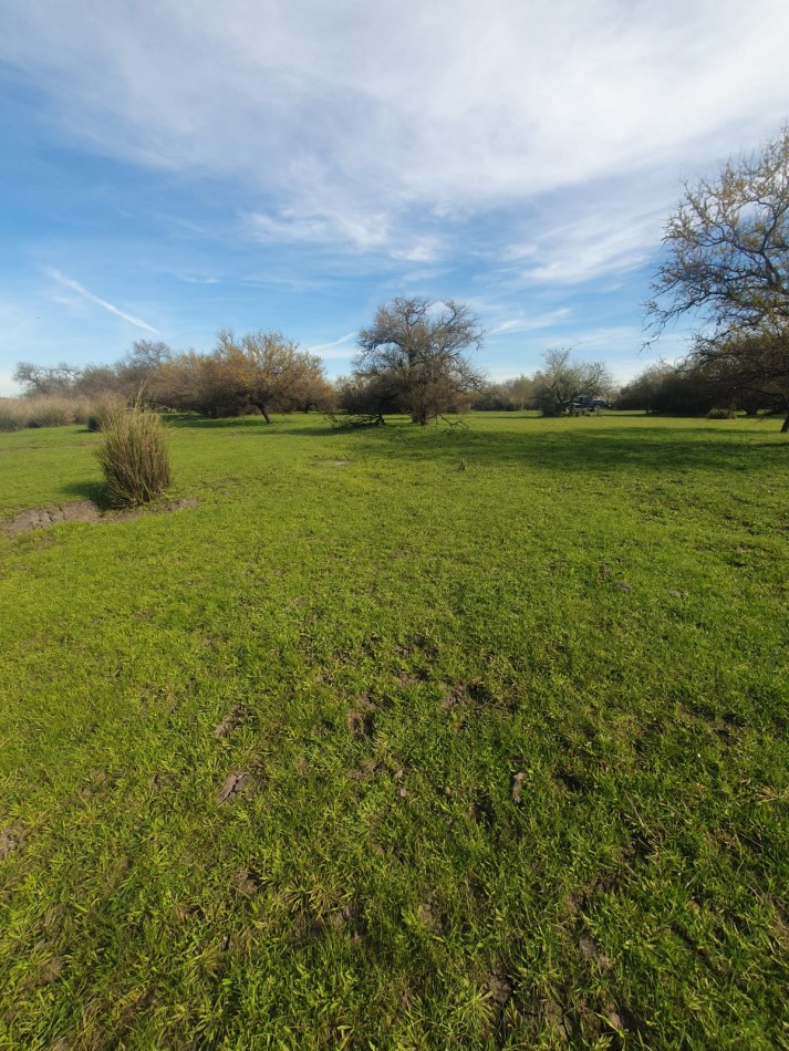 Campo de 471has a la venta - Concepcion del Uruguay