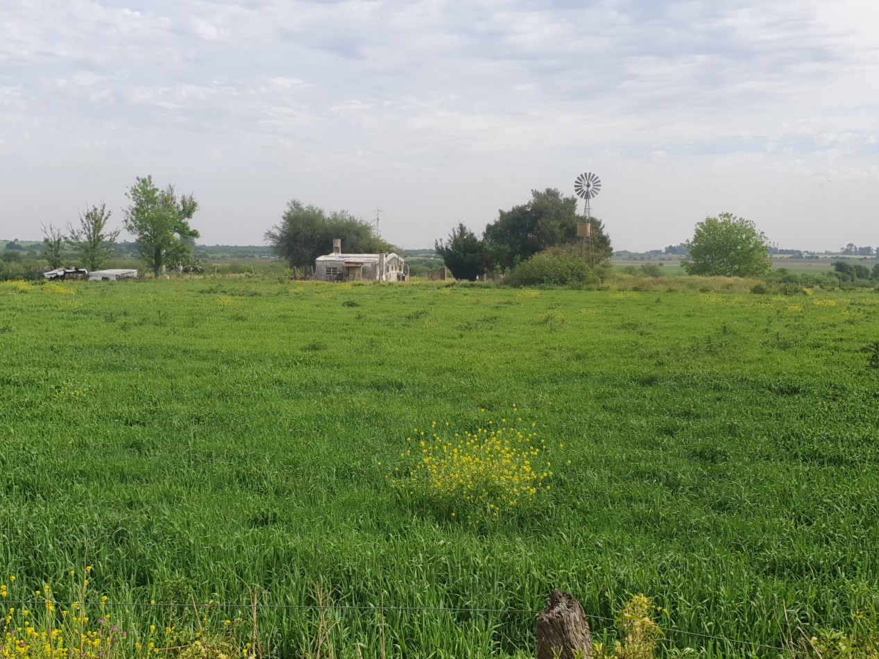 Se vende campo mixto 156has Nogoya!!!!