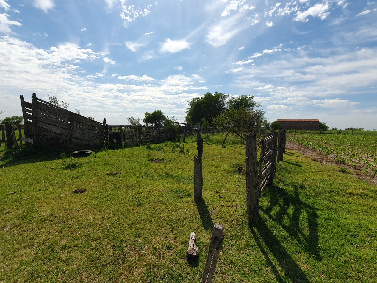 Se vende campo mixto 156has Nogoya!!!!