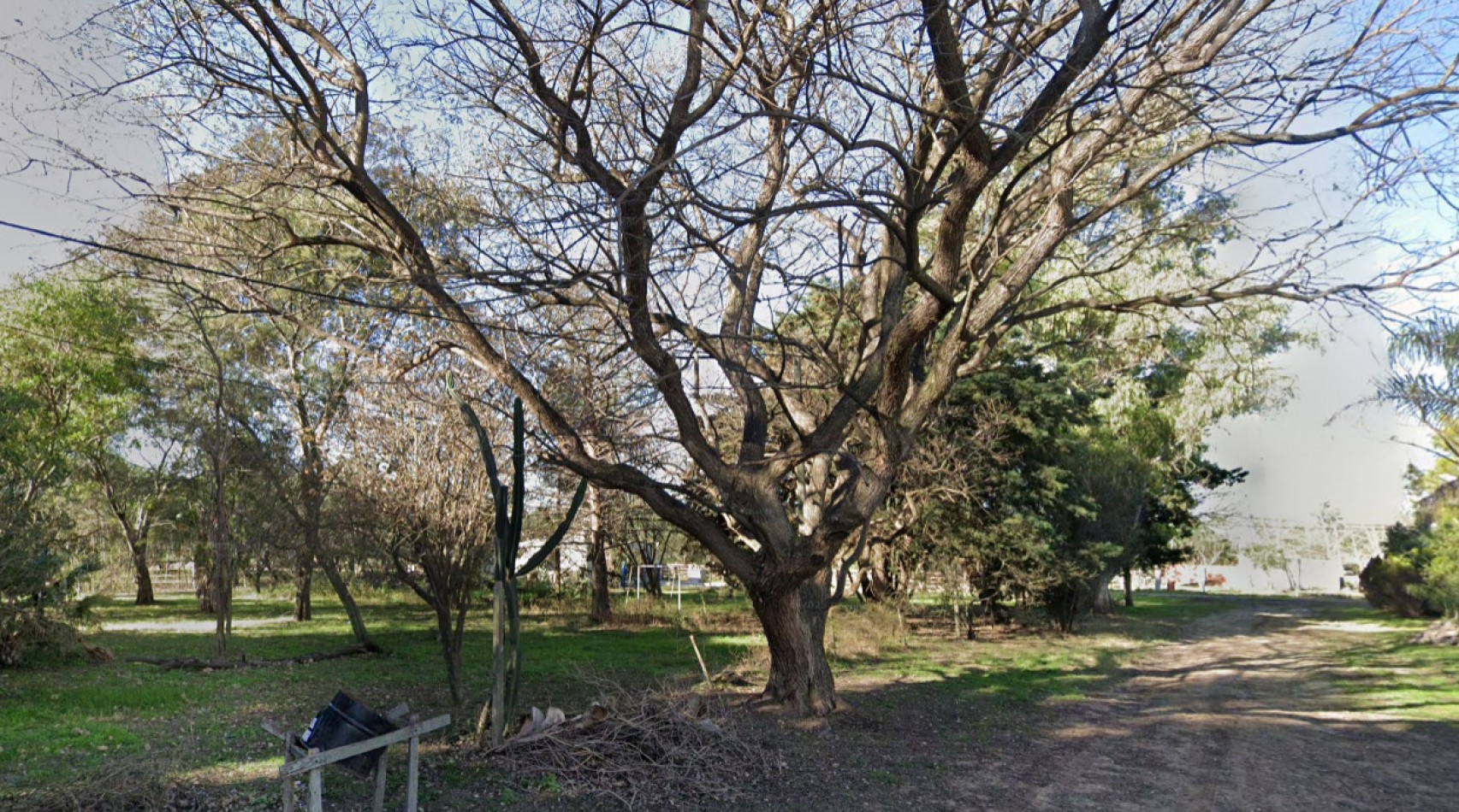 SE VENDE 2 TERRENO SAUCE MONTRULL