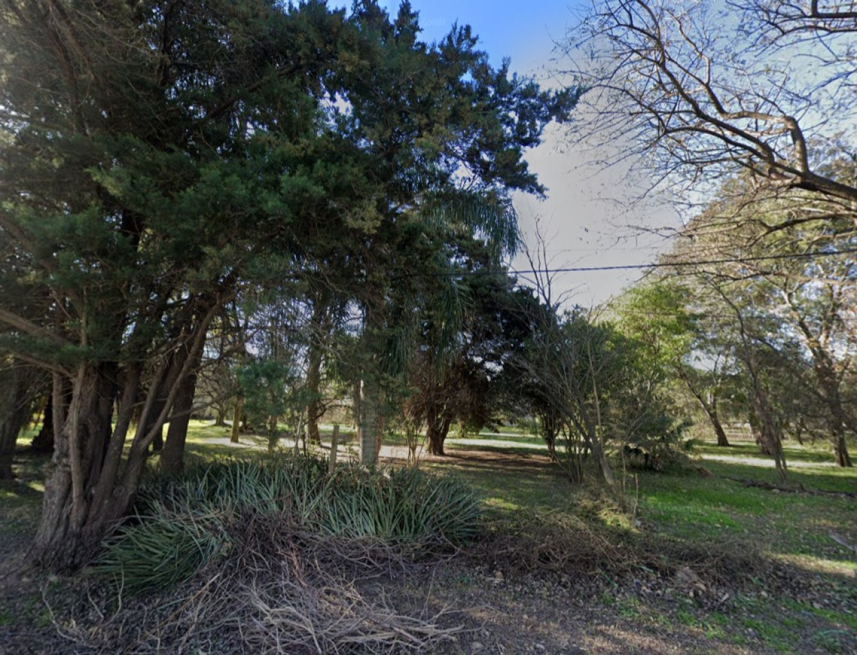 SE VENDE 2 TERRENO SAUCE MONTRULL