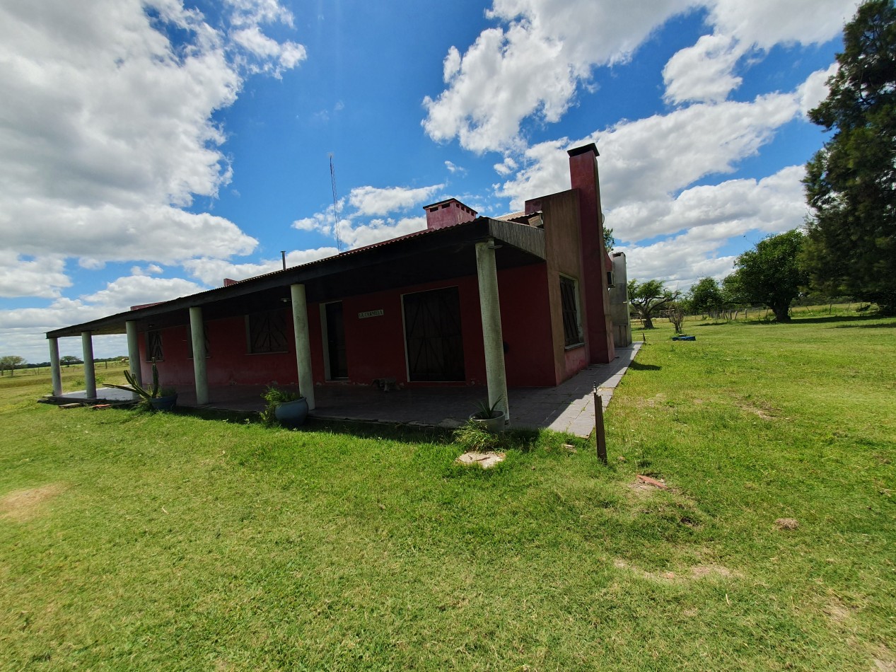 Se vende Campo Mixto 1120has  Feliciano!!!