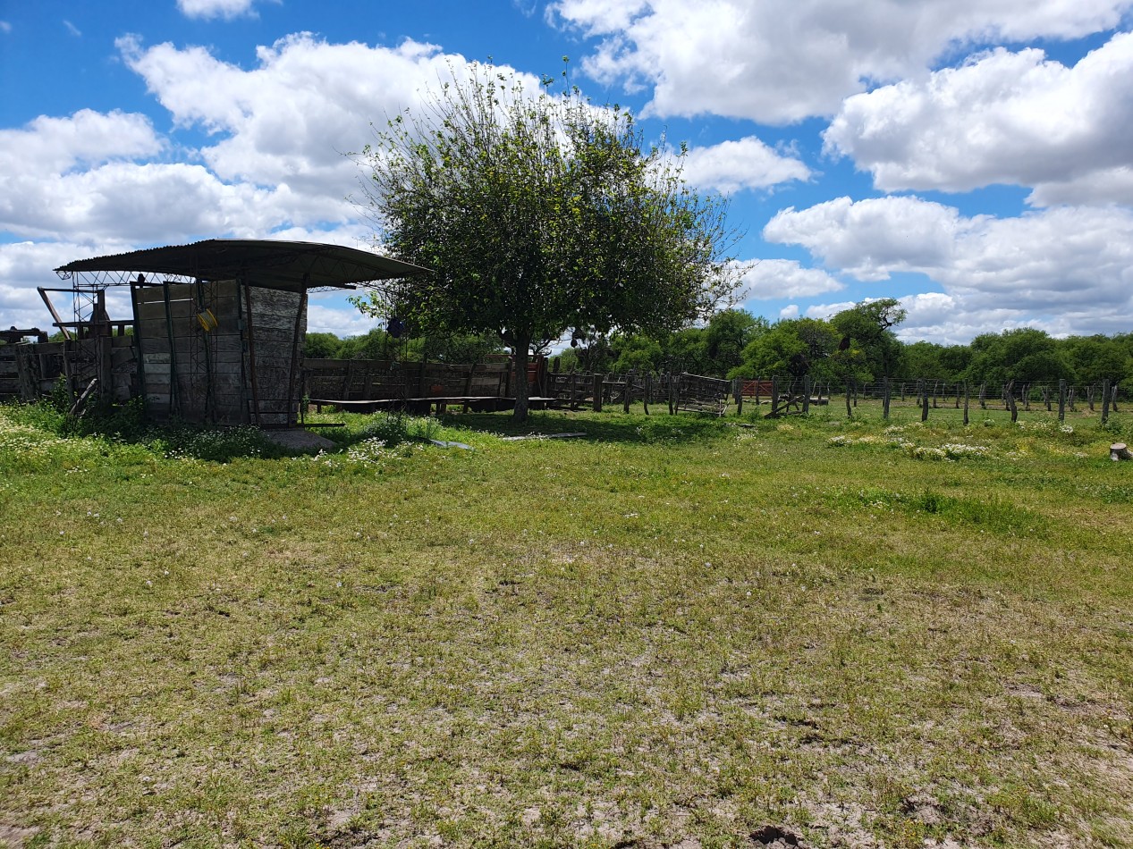 Se vende Campo Mixto 1120has  Feliciano!!!