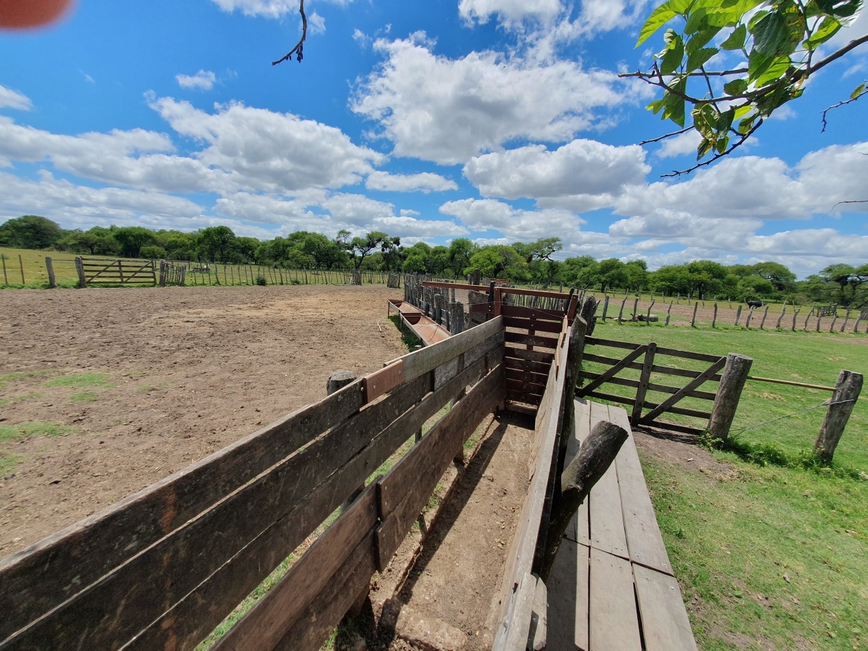 Se vende Campo Mixto 1120has  Feliciano!!!