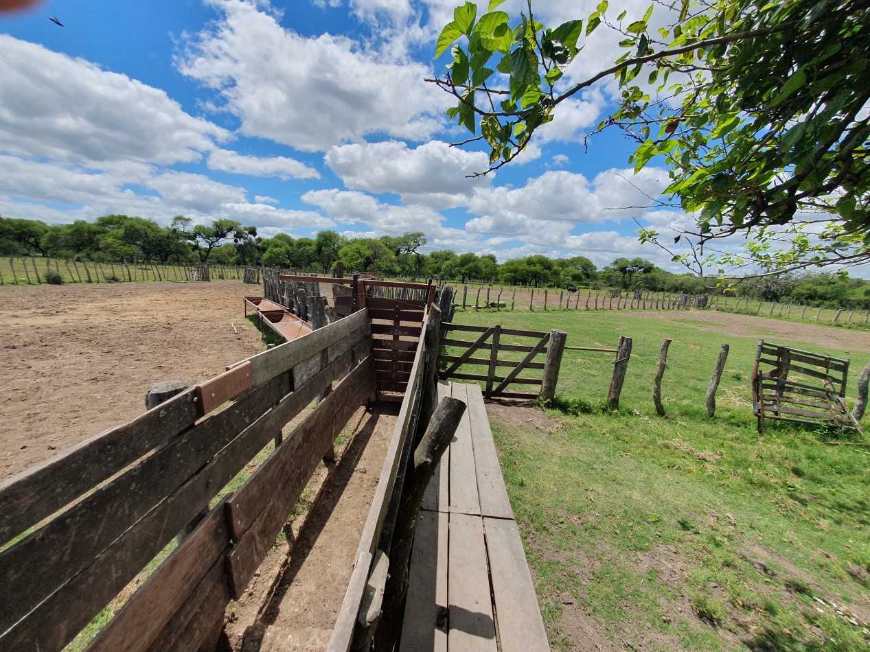 Se vende Campo Mixto 1120has  Feliciano!!!